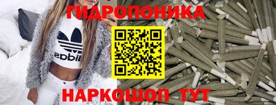 шишки Можайск