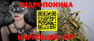 мдма Можга