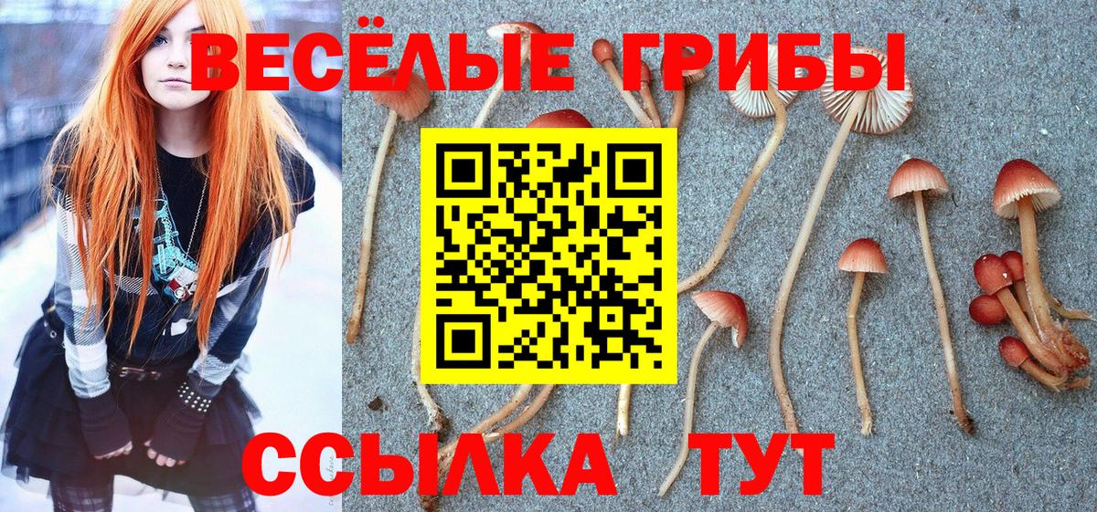 Феодосия  Галлюциногенные грибы мухоморы  Вход с VPN  Псилоцибиновые грибы ЛСД 